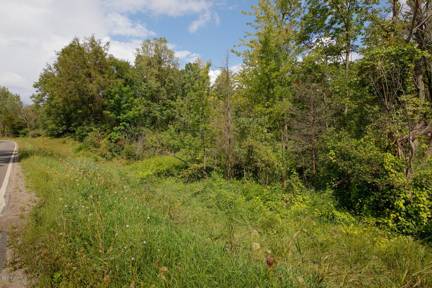 Keller Road Delton, MI 49046 - Photo 1 of 15 VL Keller Rd-101