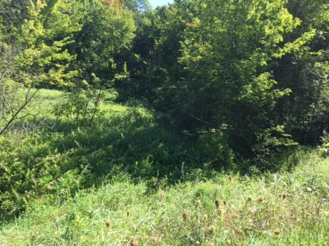 Keller Road Delton, MI 49046 - Photo 11 of 15 IMG_6229