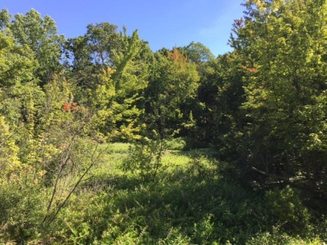 Keller Road Delton, MI 49046 - Photo 12 of 15 IMG_6230