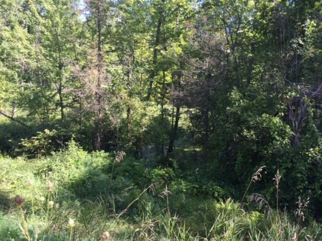 Keller Road Delton, MI 49046 - Photo 13 of 15 IMG_6231