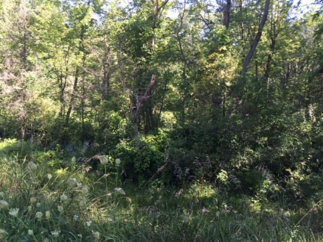Keller Road Delton, MI 49046 - Photo 14 of 15 IMG_6232