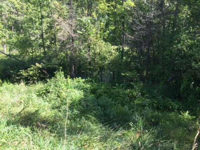 Keller Road Delton, MI 49046 - Photo 15 of 15 IMG_6233