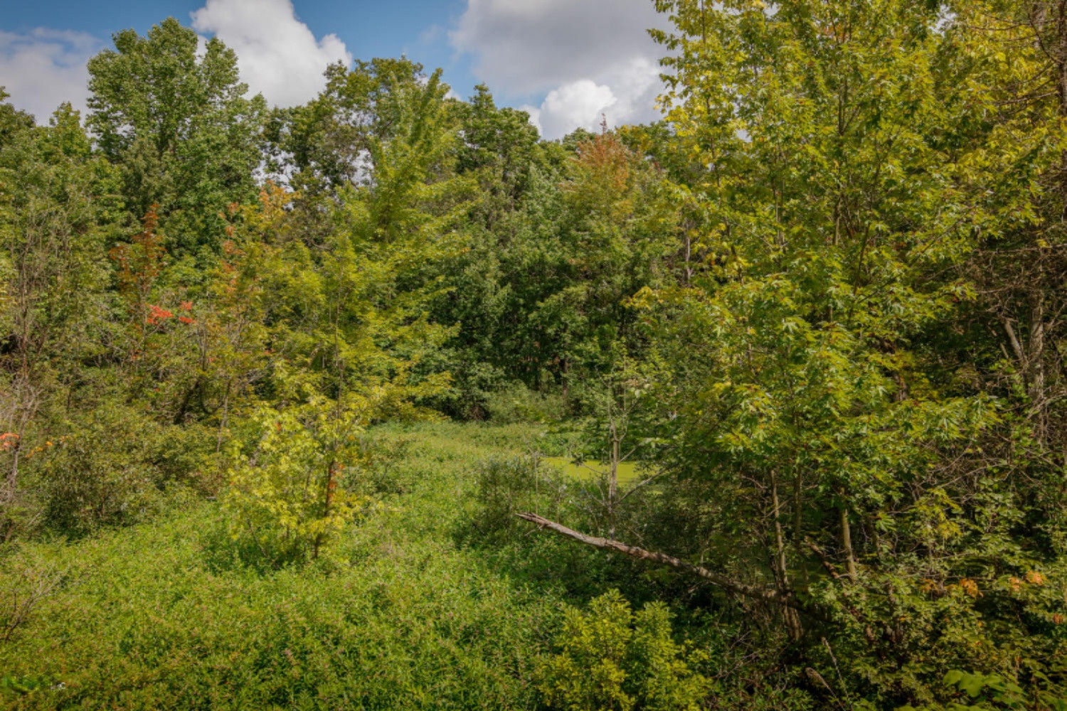 Keller Road Delton, MI 49046 - Photo 2 of 15 VL Keller Rd-102