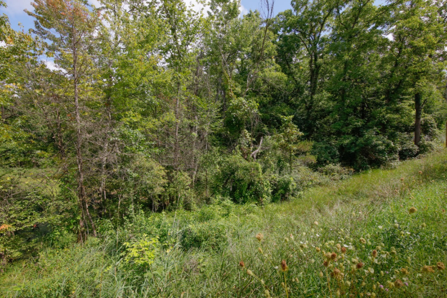 Keller Road Delton, MI 49046 - Photo 3 of 15 VL Keller Rd-103