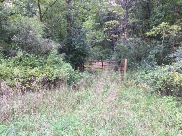 Keller Road Delton, MI 49046 - Photo 4 of 15 IMG_6568