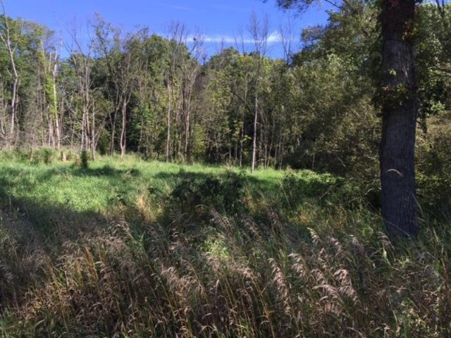 Keller Road Delton, MI 49046 - Photo 6 of 15 IMG_6224
