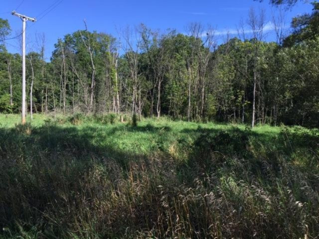 Keller Road Delton, MI 49046 - Photo 7 of 15 IMG_6225