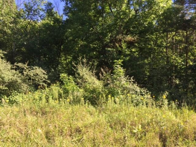 Keller Road Delton, MI 49046 - Photo 8 of 15 IMG_6226