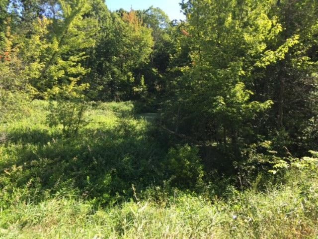 Keller Road Delton, MI 49046 - Photo 10 of 15 IMG_6228