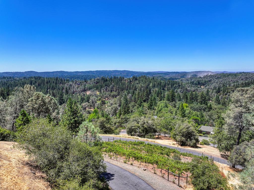 770 Bridle Path Road Colfax, CA 95713 - Photo 40 of 80