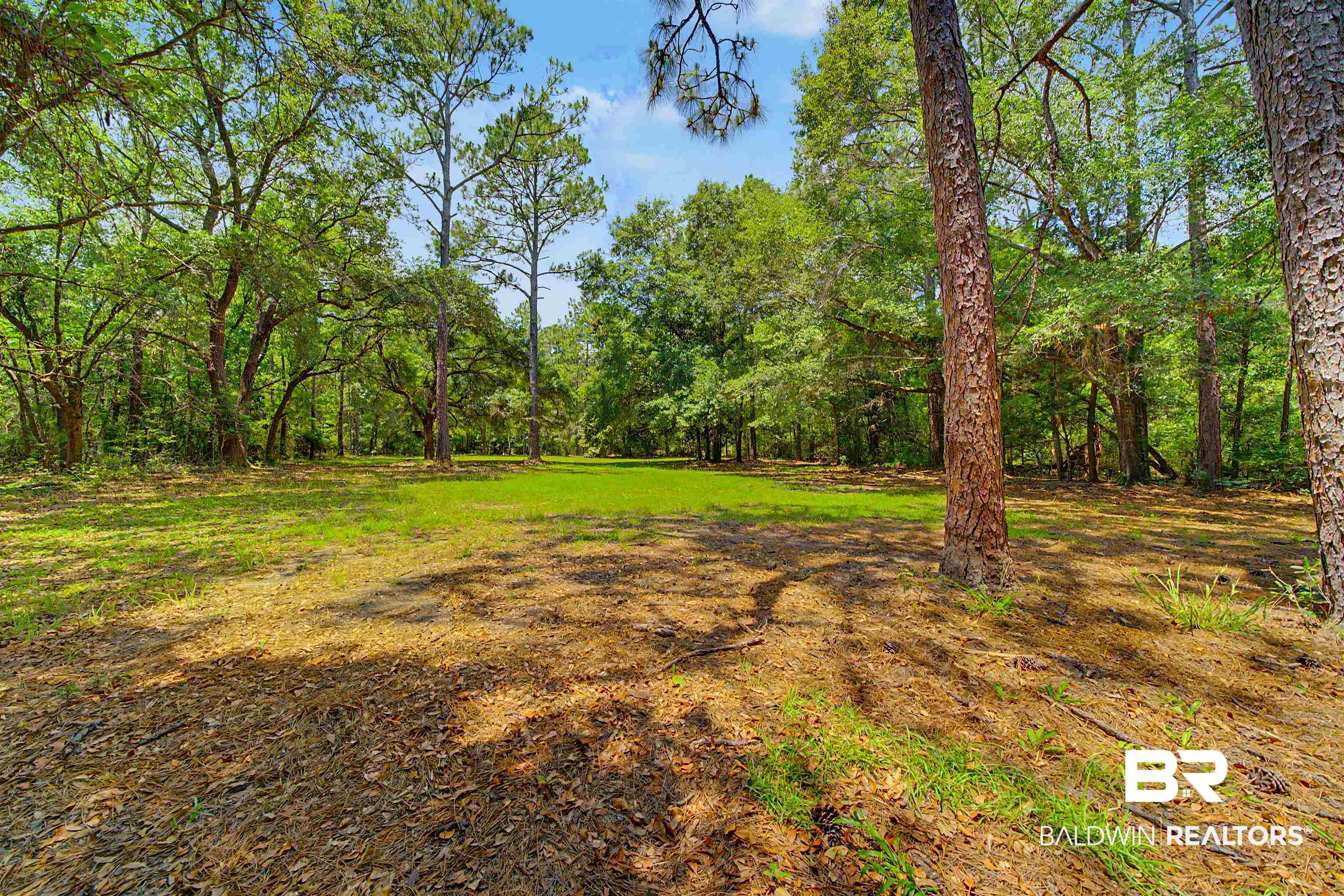 22963 Highway 98 Foley, AL 36535 - Photo 43 of 52 Expansive cleared land parcel featuring mature trees, a natural landscape, and a central grassy area