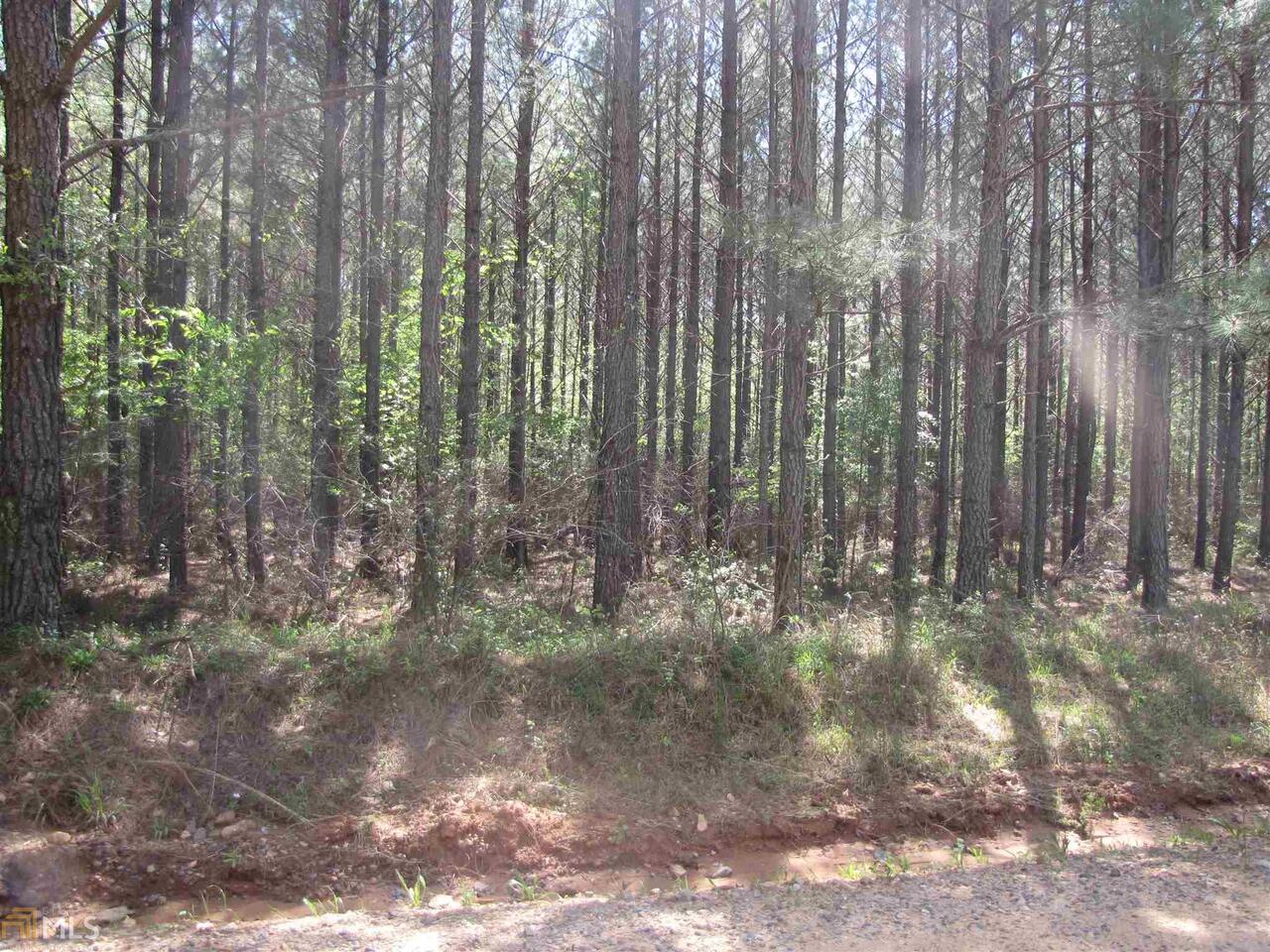 0 Damascus Church Road Gray, GA 31032 - Photo 1 of 1