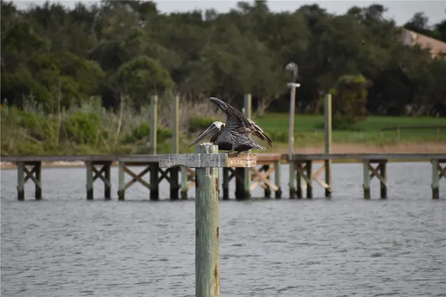 a view of outdoor space with patio