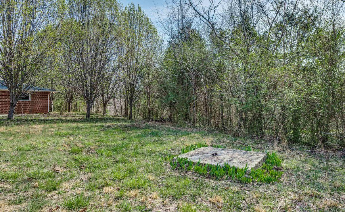 12125 Old Baxter Road Silver Point, TN 38582 - Photo 23 of 29 Front Yard