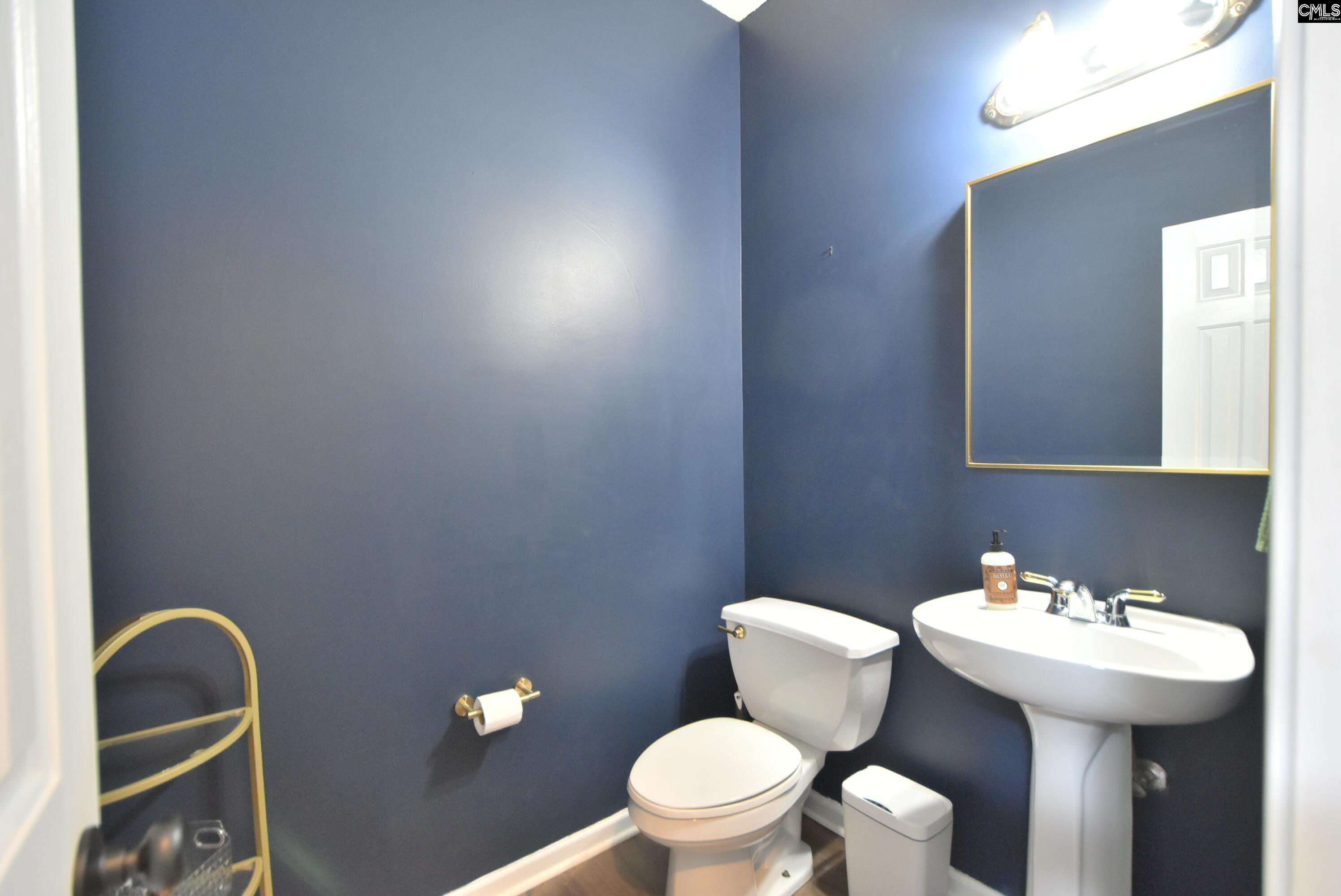 305 Belfair Road Irmo, SC 29063 - Photo 19 of 43