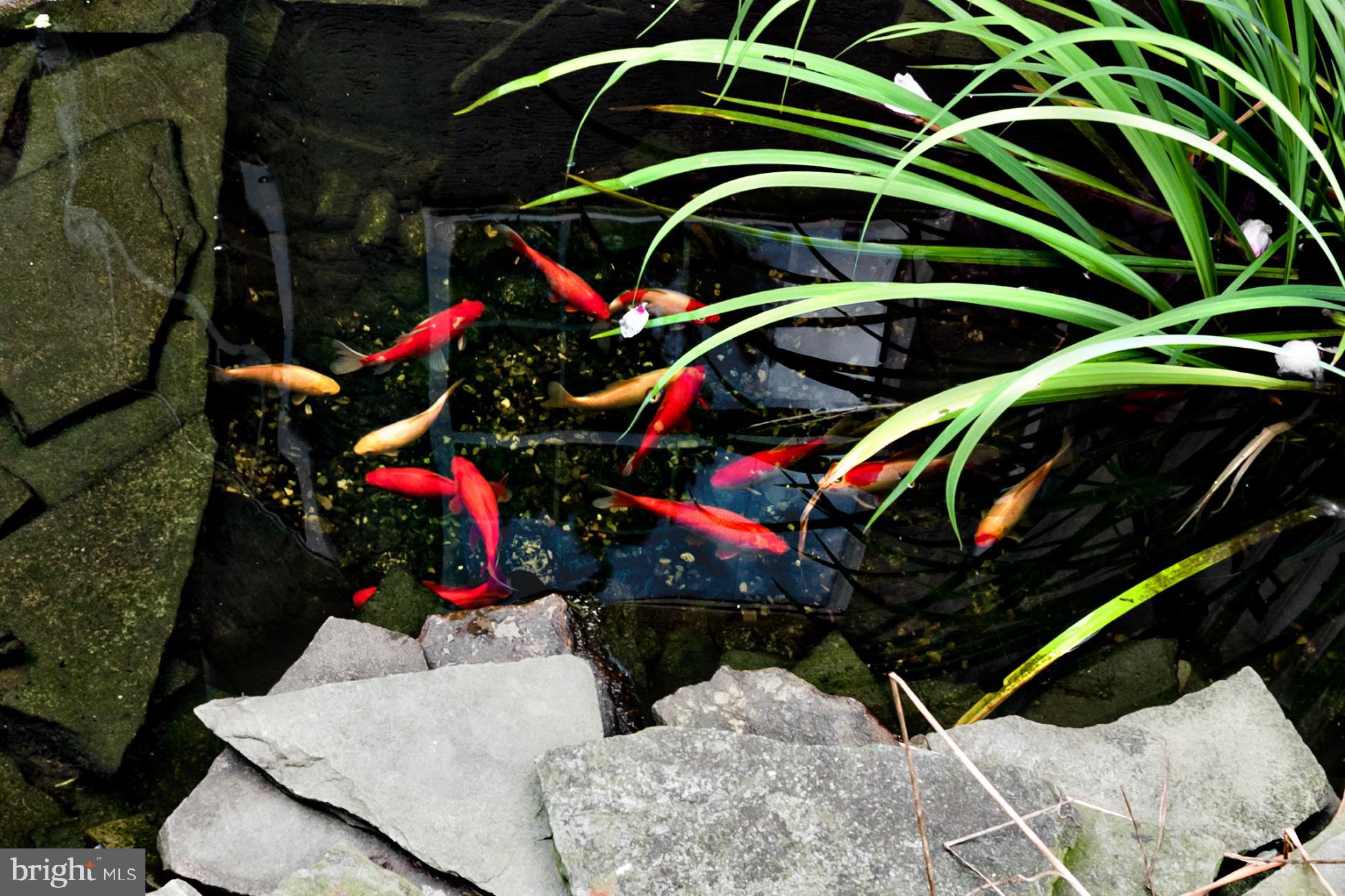 3900 Moss Mill Road Hammonton, NJ 08037 - Photo 33 of 66