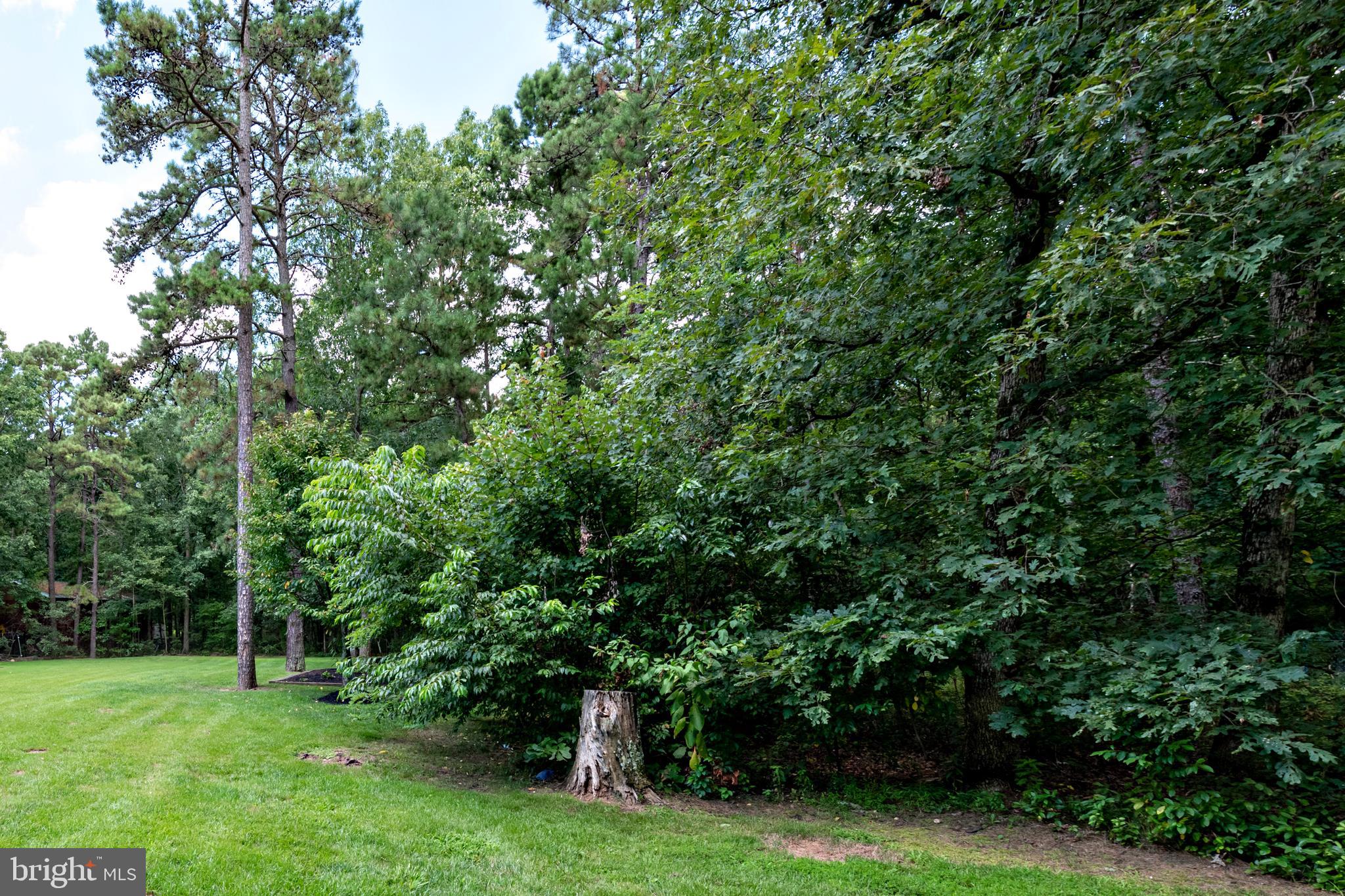 3900 Moss Mill Road Hammonton, NJ 08037 - Photo 36 of 66