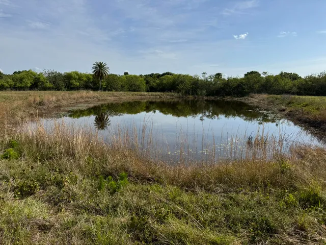 a view of a lake with houses in background