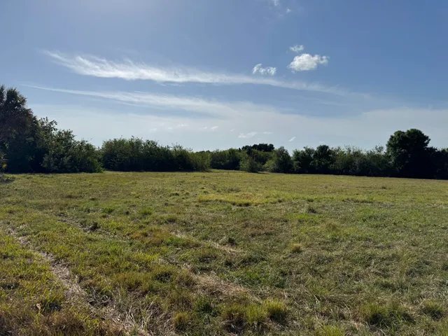 a view of a lake from a yard
