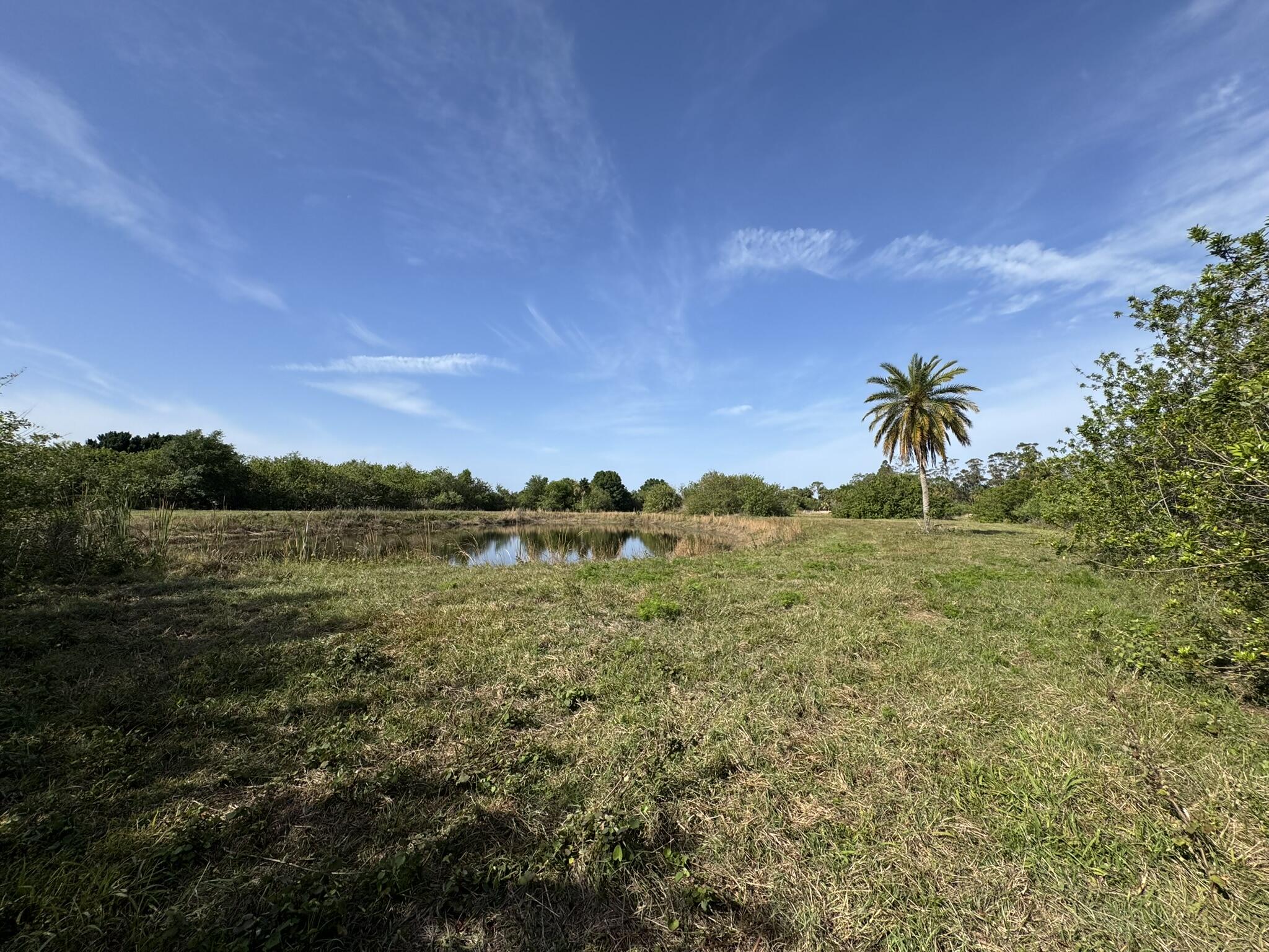 8600 Southwest Springhaven Avenue Indiantown, FL 34956 - Photo 14 of 14 a view of a lake from a yard