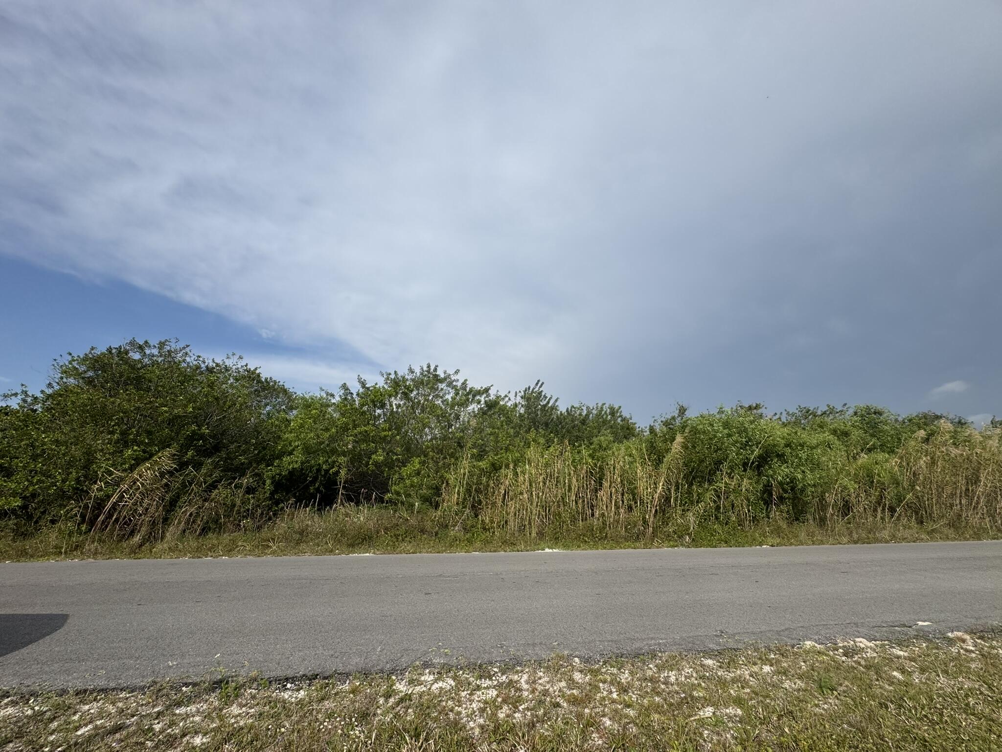 8600 Southwest Springhaven Avenue Indiantown, FL 34956 - Photo 2 of 14 a view of a field with an trees