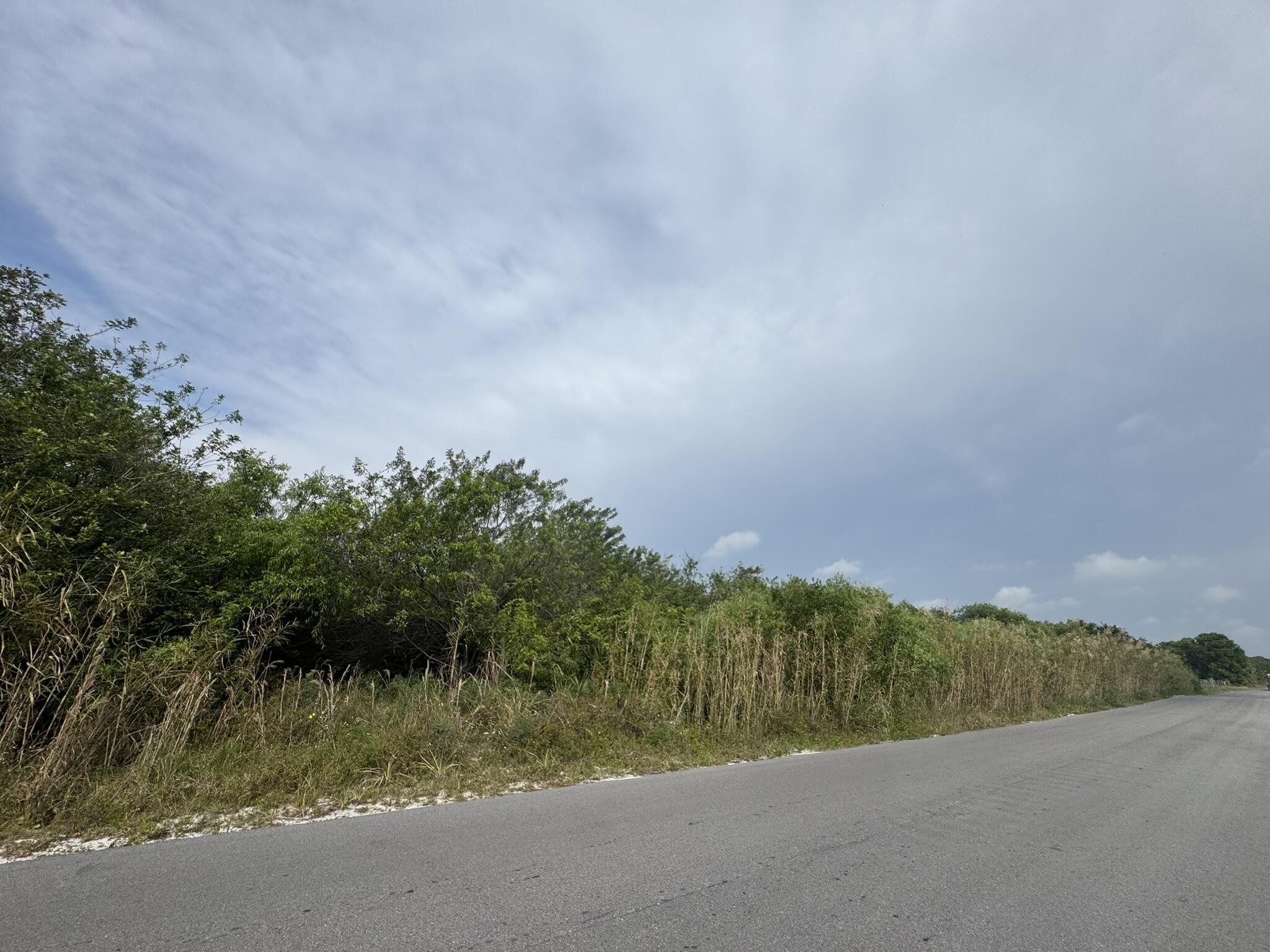 8600 Southwest Springhaven Avenue Indiantown, FL 34956 - Photo 4 of 14 a view of a field with a tree in the background