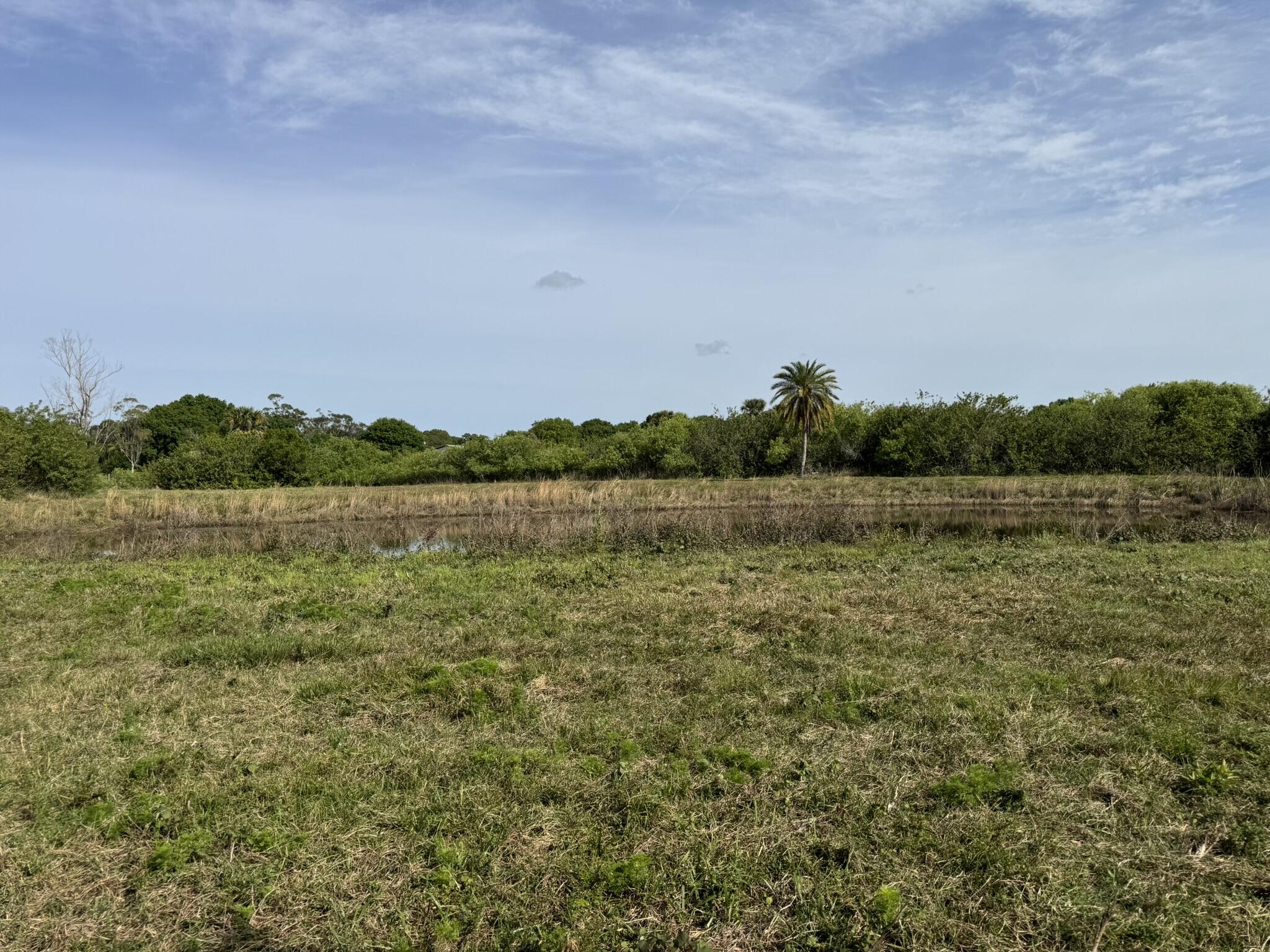 8600 Southwest Springhaven Avenue Indiantown, FL 34956 - Photo 8 of 14 a view of a lake with houses in the back