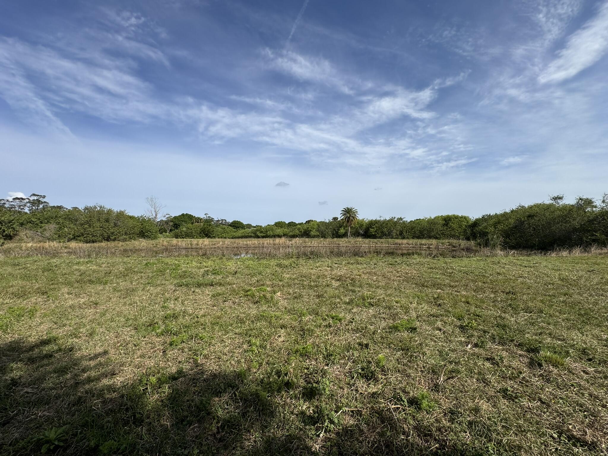8600 Southwest Springhaven Avenue Indiantown, FL 34956 - Photo 9 of 14 a view of a lake with houses in the back