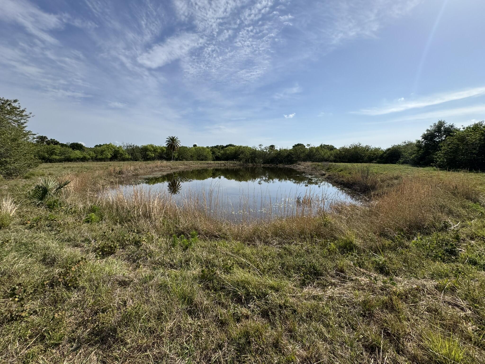 8600 Southwest Springhaven Avenue Indiantown, FL 34956 - Photo 10 of 14 a view of a lake with houses in the back