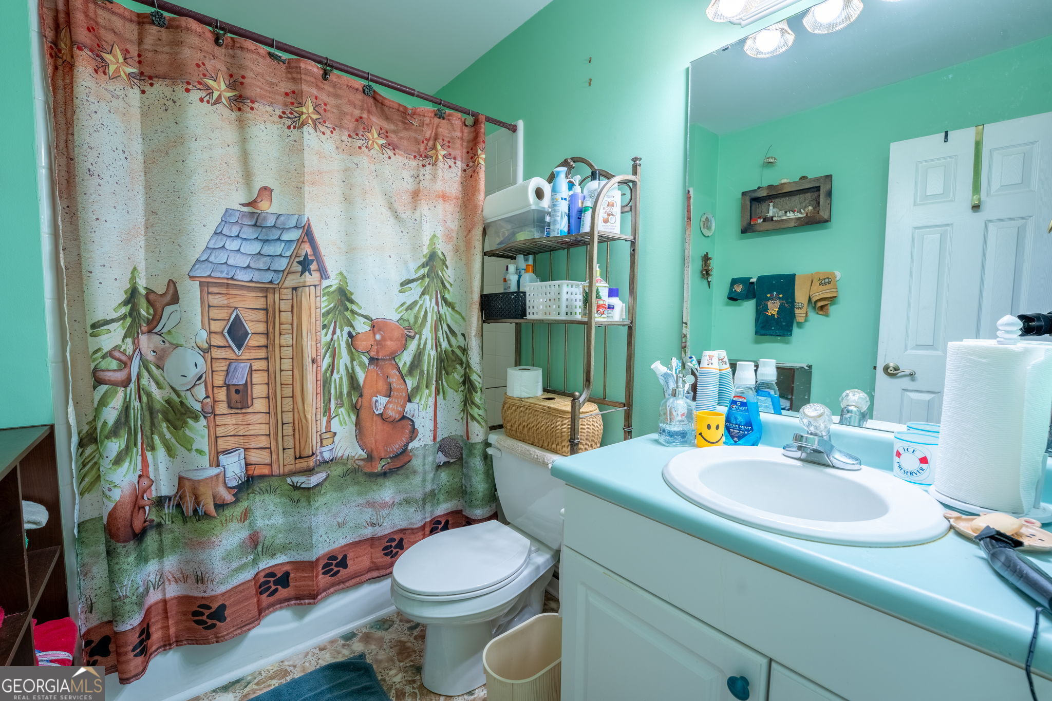 50 Green Hill Place Toccoa, GA 30577 - Photo 30 of 38 a bathroom with a sink mirror vanity and toilet