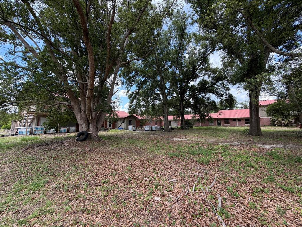 4215 Stearns Road Valrico, FL 33596 - Photo 7 of 23