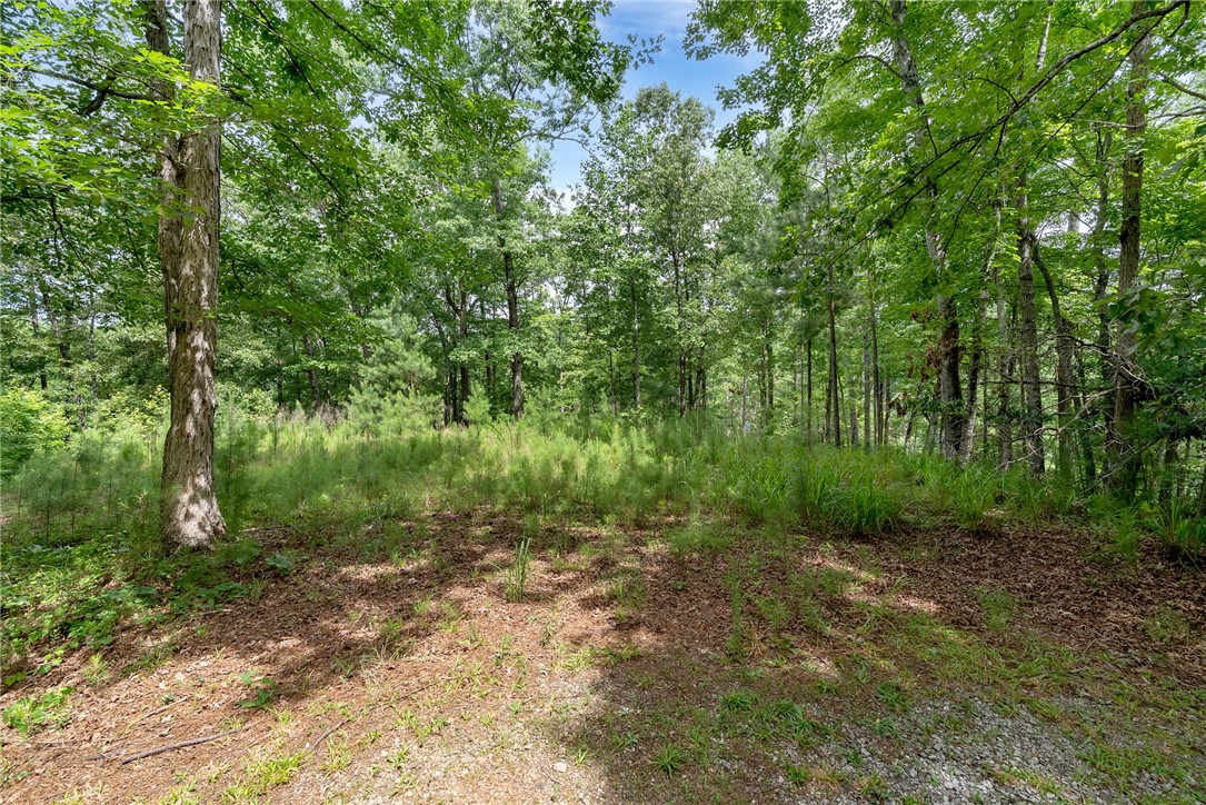 913 Rippling Water Way Salem, SC 29676 - Photo 13 of 15