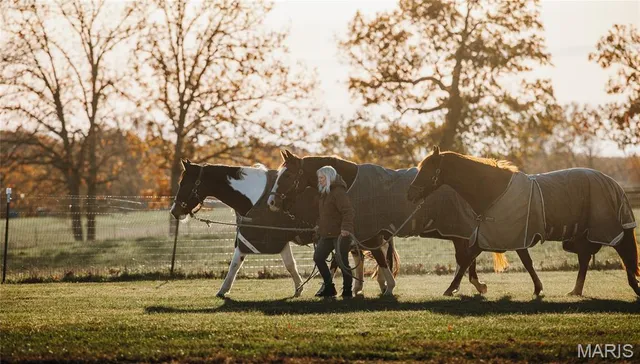 $950,000 | 17265 County Road 8280, Rolla, MO 65401