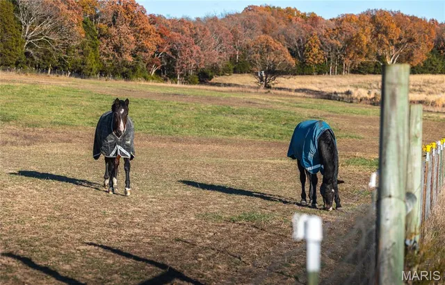 $950,000 | 17265 County Road 8280, Rolla, MO 65401