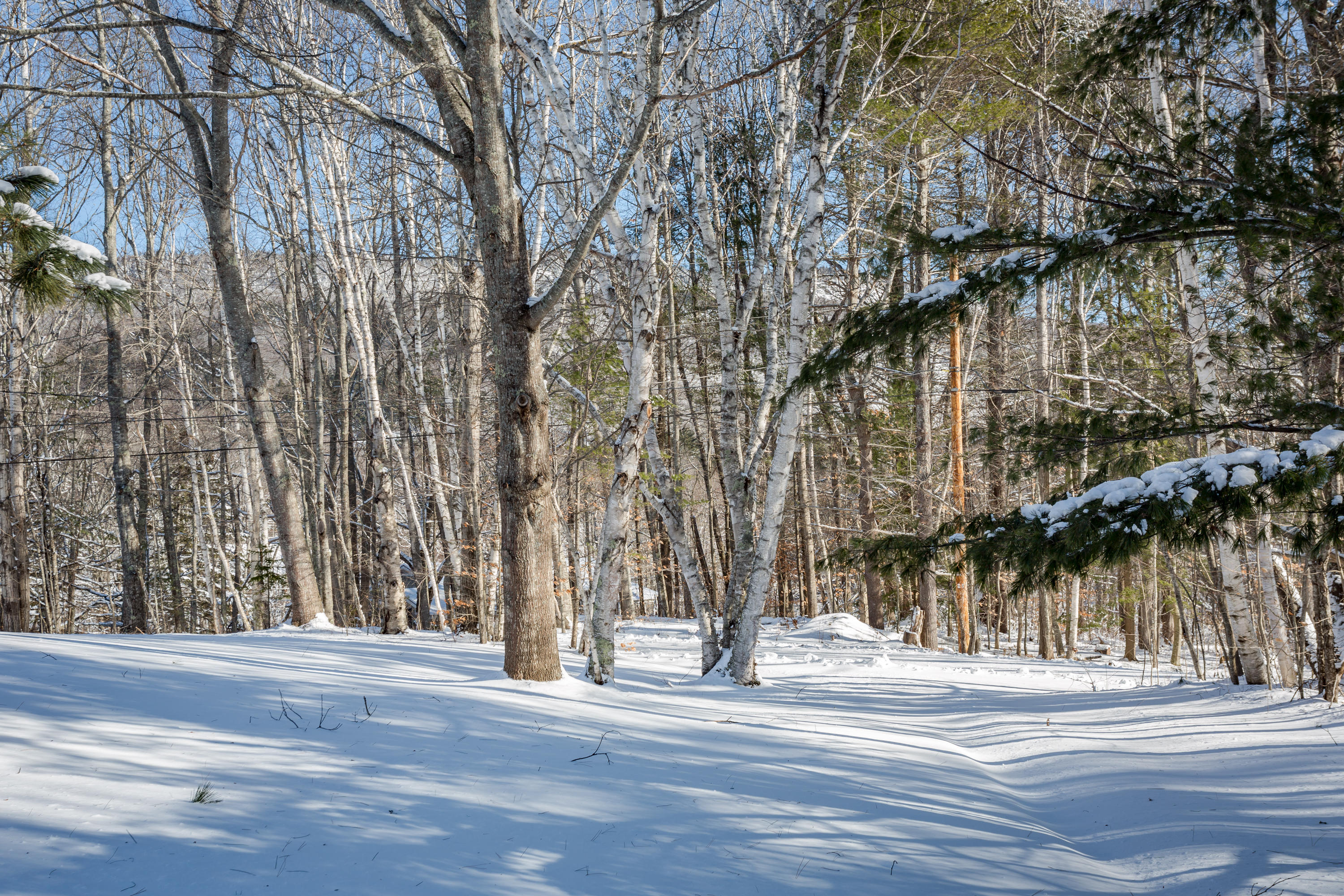 50 Molyneaux Road Camden, ME 04843 - Photo 28 of 29 28-50MolyneauxRd-Camden-KS