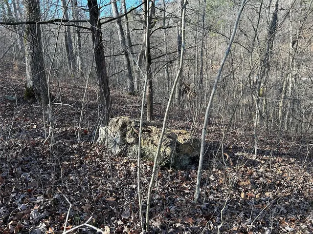 $119,000 | 0 Slabtown Road, Plato, MO 65552