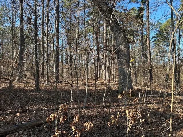 $119,000 | 0 Slabtown Road, Plato, MO 65552