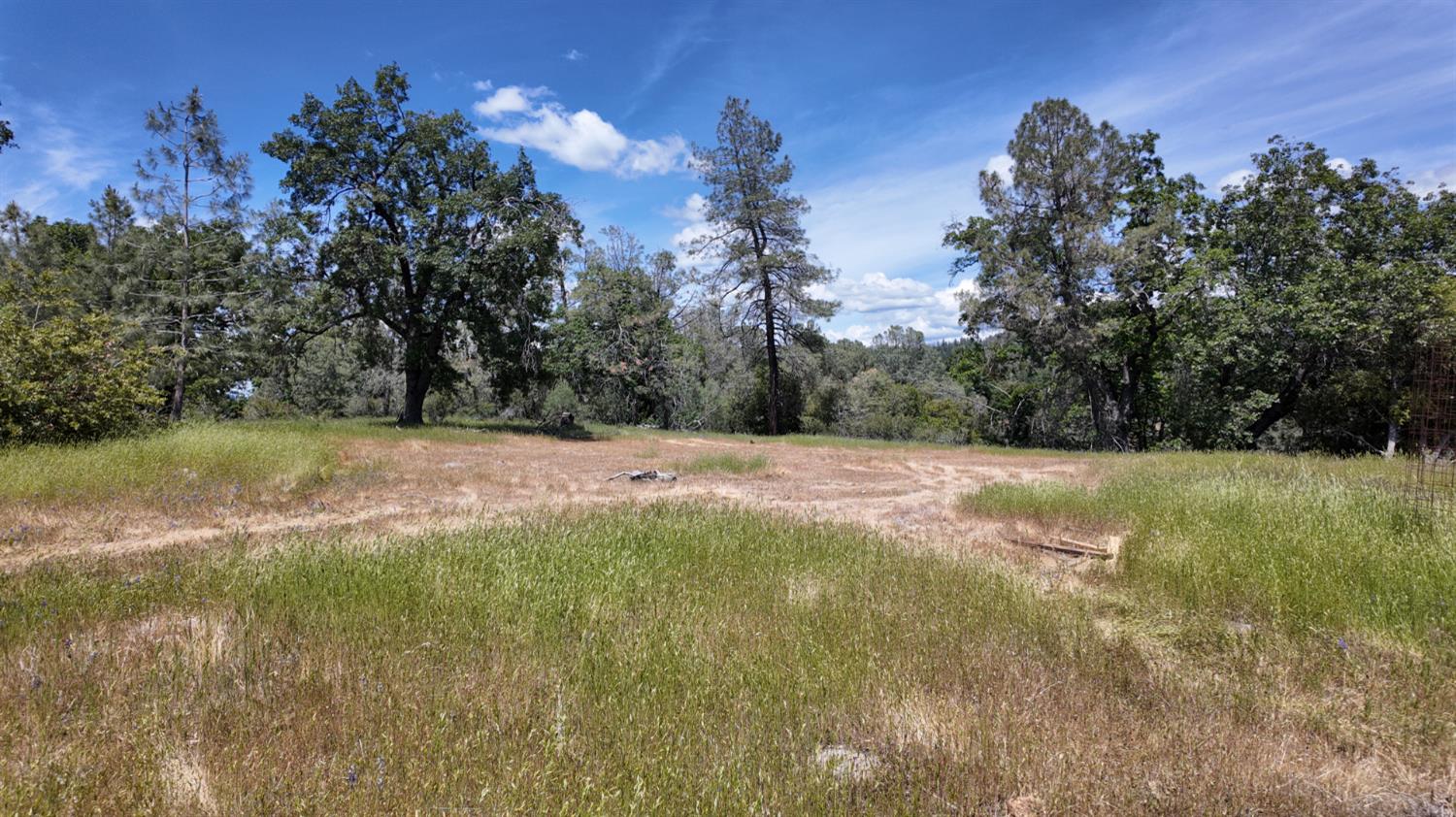 0 Hubbard Road Mountain Ranch, CA 95246 - Photo 12 of 29