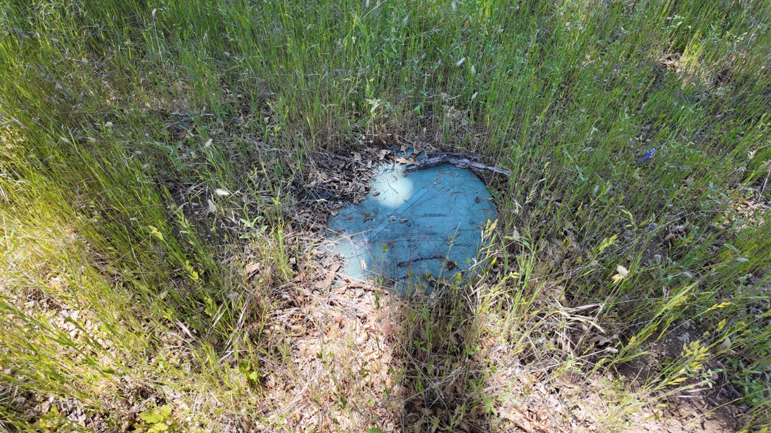 0 Hubbard Road Mountain Ranch, CA 95246 - Photo 15 of 29