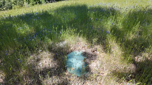 $225,000 | 0 Hubbard Road, Mountain Ranch, CA 95246