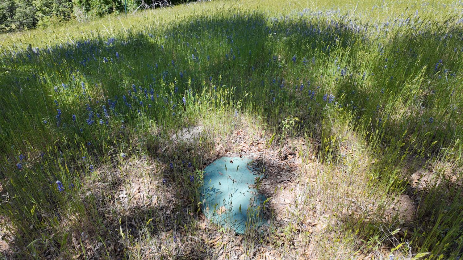 0 Hubbard Road Mountain Ranch, CA 95246 - Photo 16 of 29