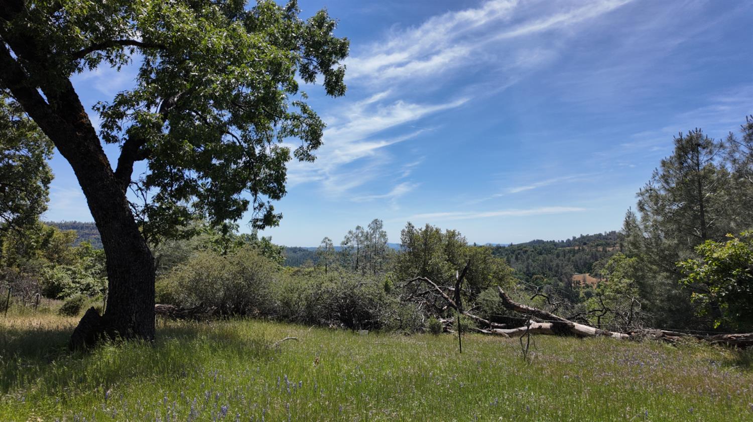 0 Hubbard Road Mountain Ranch, CA 95246 - Photo 19 of 29