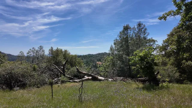 $225,000 | 0 Hubbard Road, Mountain Ranch, CA 95246