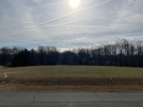 a view of a yard