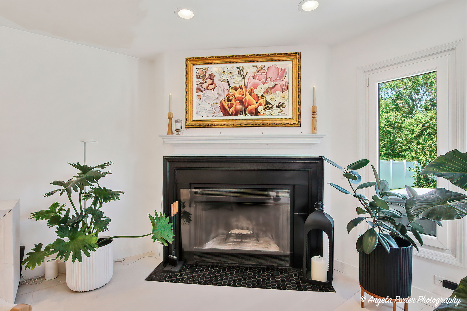 25604 West Ivanhoe Road Wauconda, IL 60084 - Photo 10 of 48