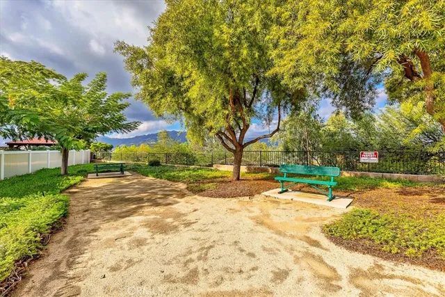 a view of a yard with plants and trees