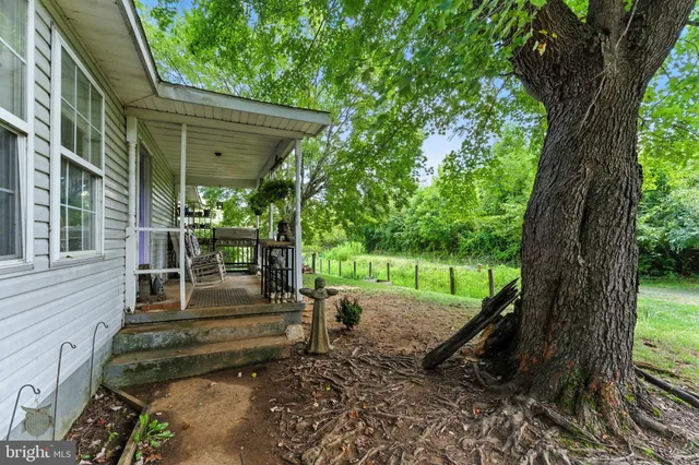 a view of a yard with a tree