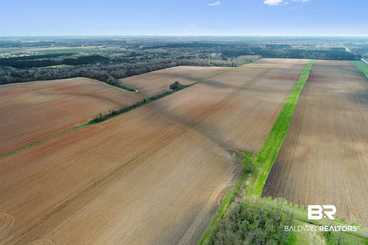 10505 County Road 65 Foley, AL 36535 - Photo 6 of 9