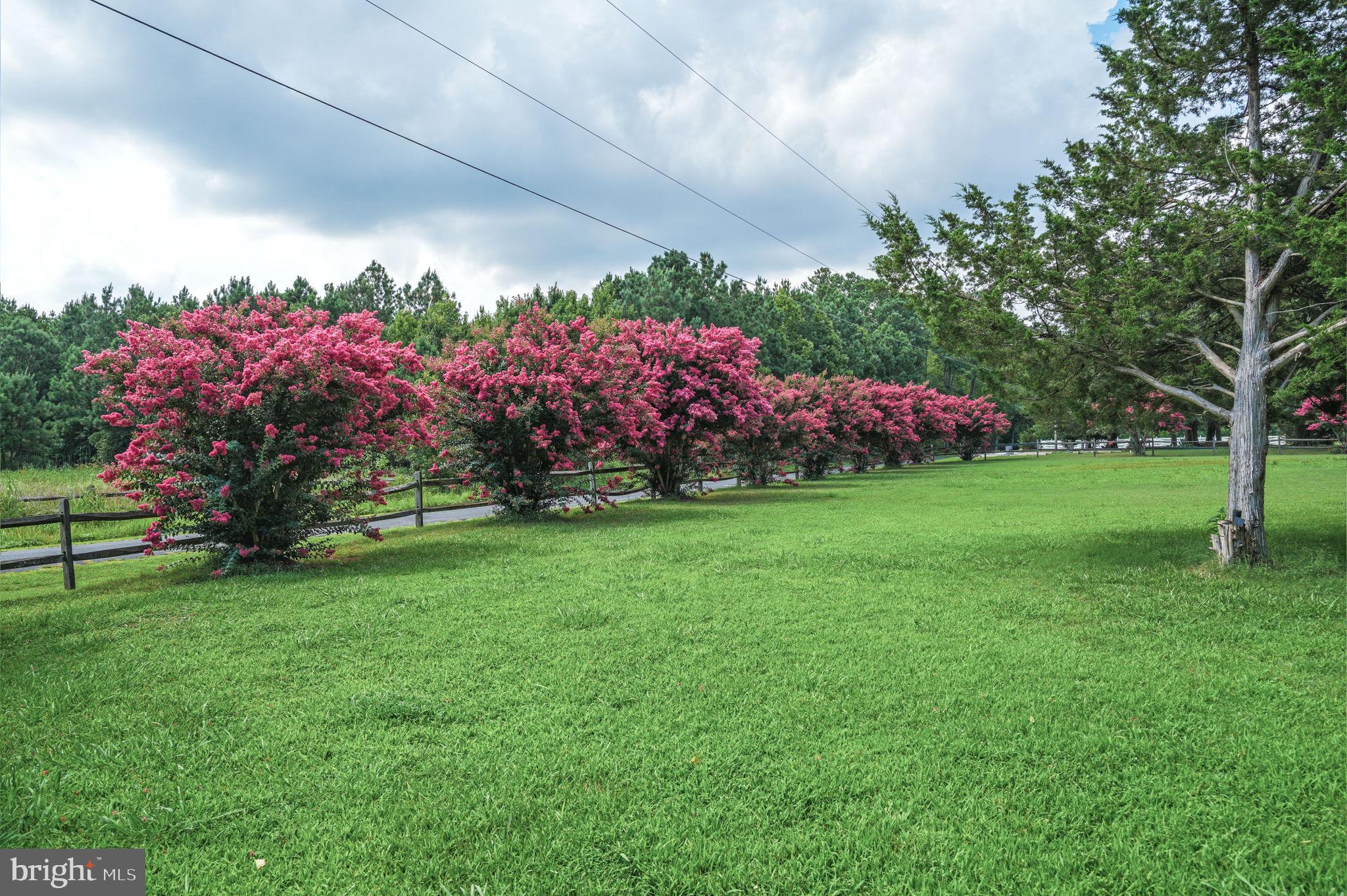 25367 Messongo Road Temperanceville, VA 23442 - Photo 83 of 107