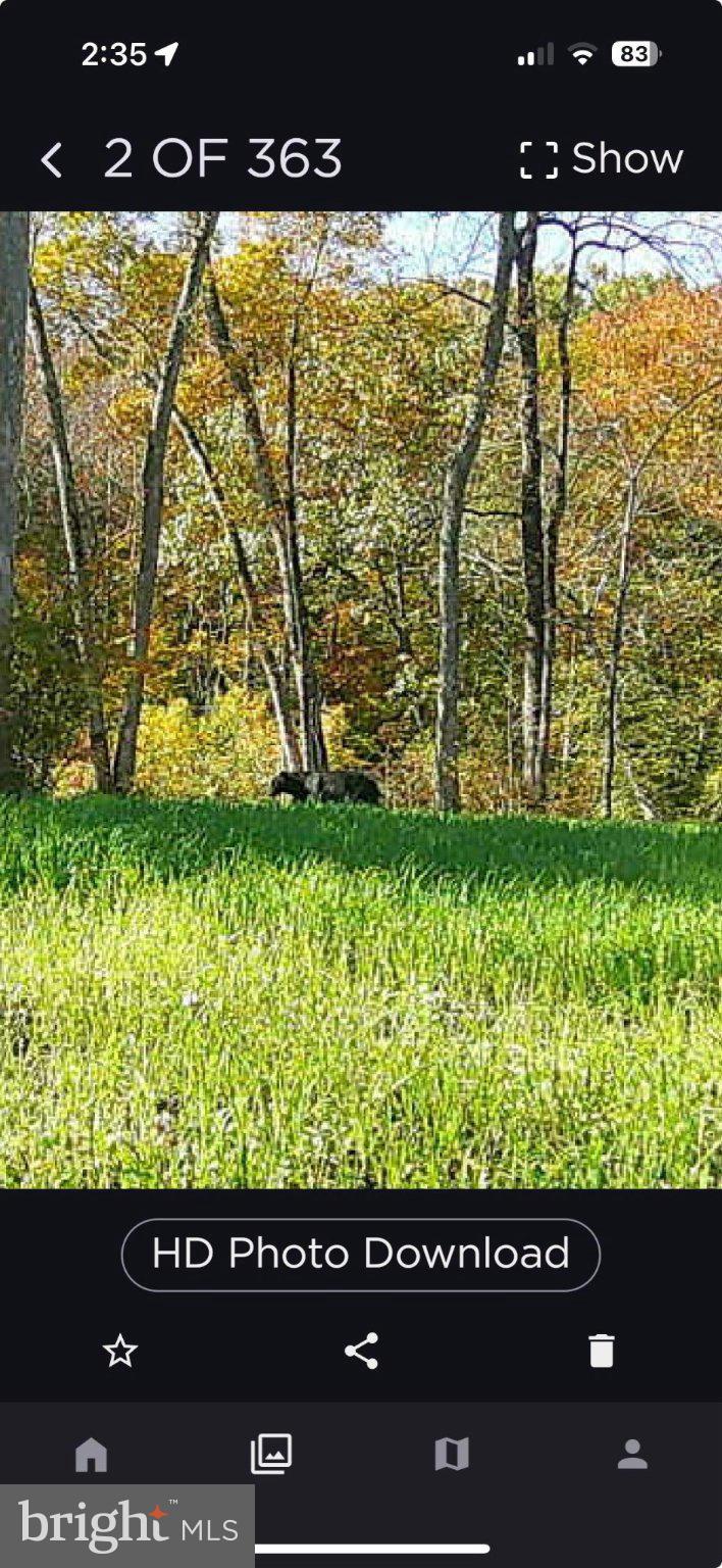 0 Harts Mill Road Mineral, VA 23117 - Photo 58 of 69 Serene autumn landscape with wildlife.